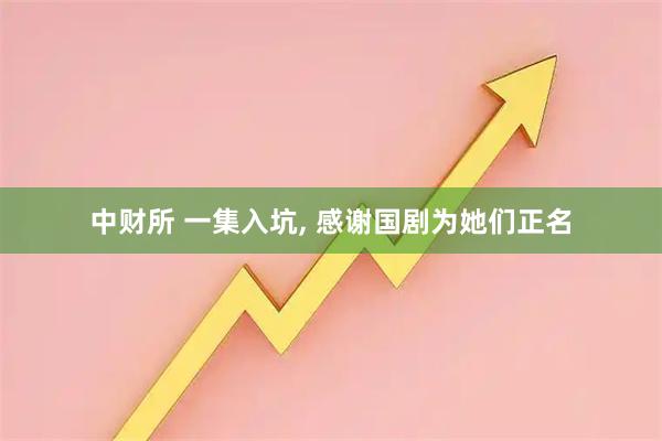 中财所 一集入坑, 感谢国剧为她们正名