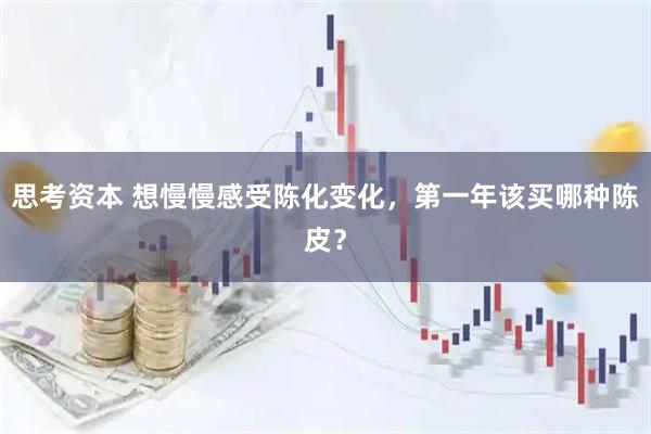 思考资本 想慢慢感受陈化变化,第一年该买哪种陈皮?